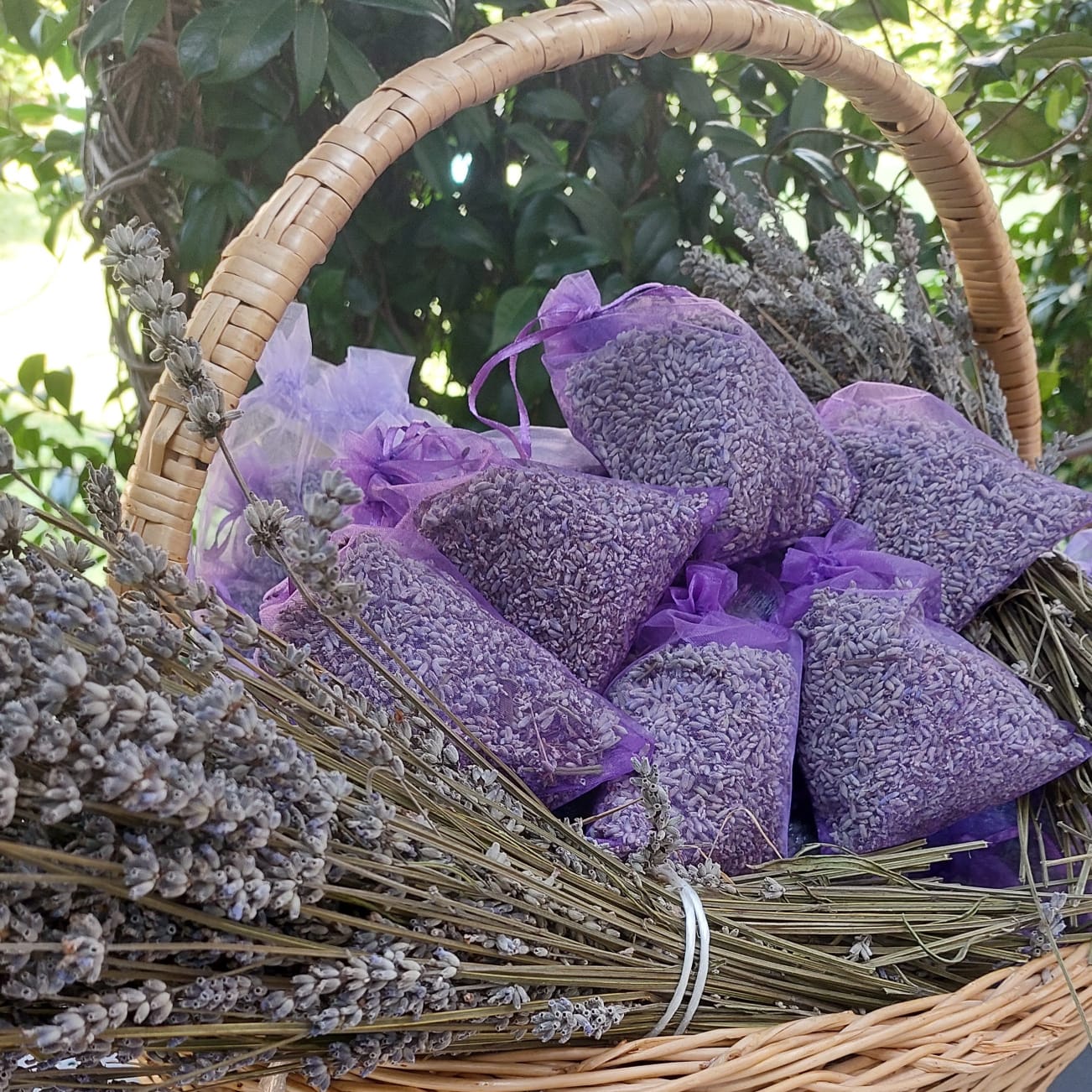 Sacchetti di lavanda