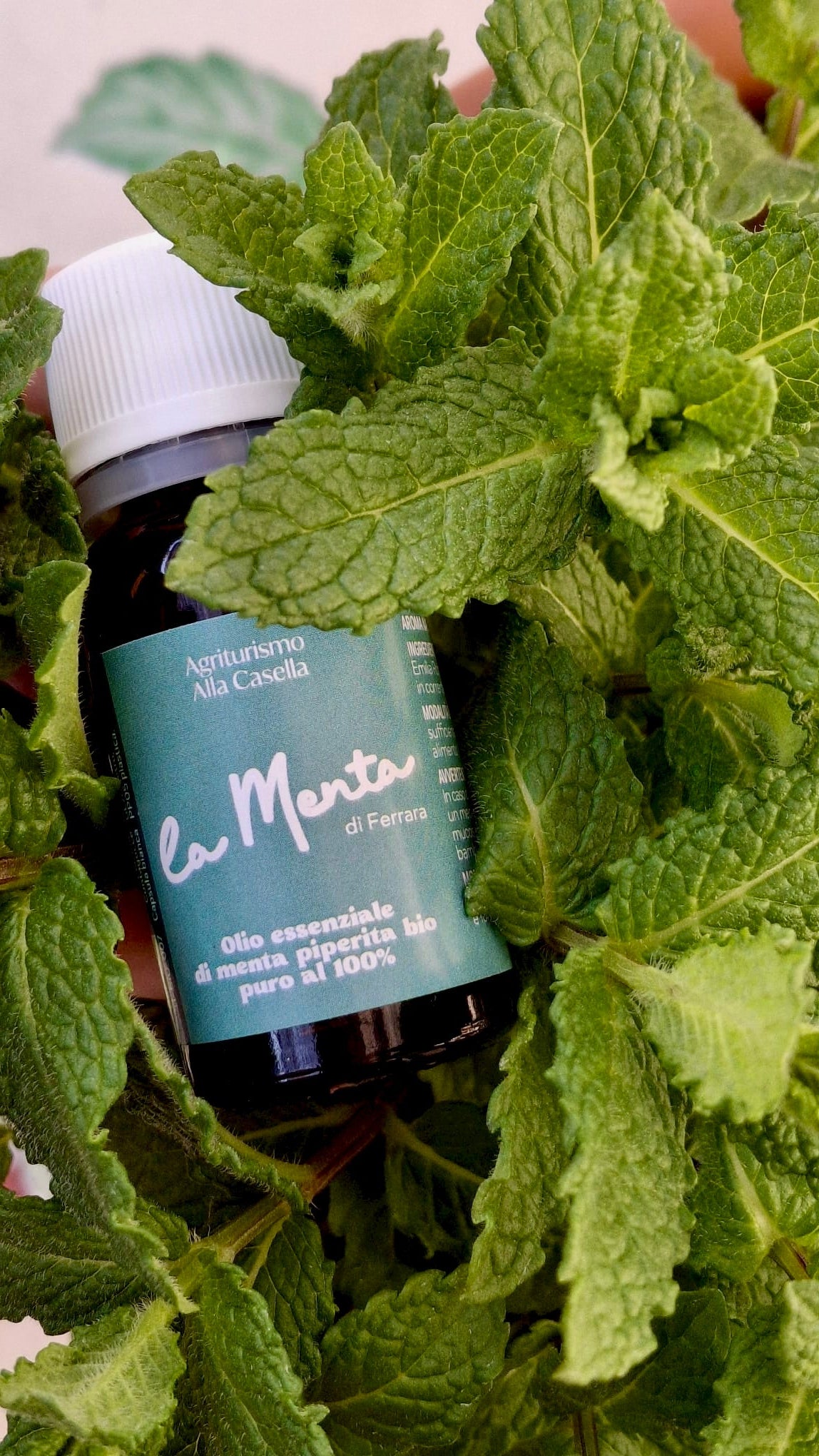 Olio Essenziale di Menta Bio