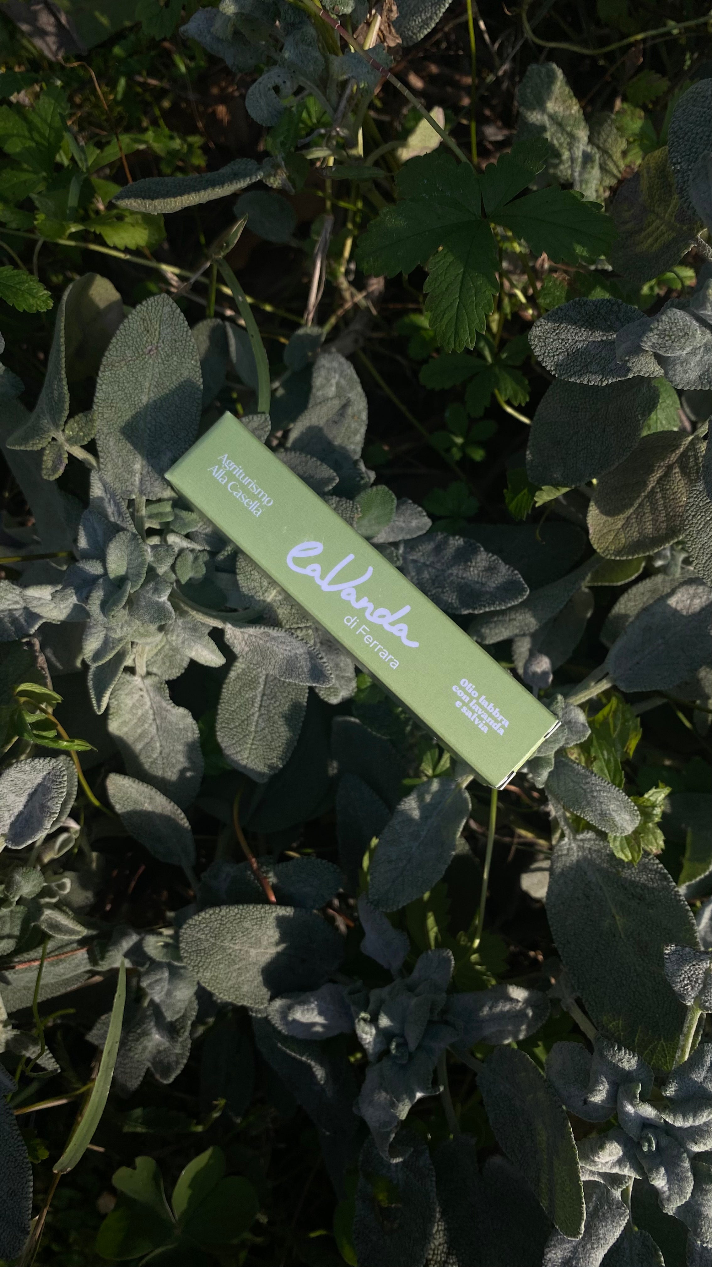 Olio Labbra Lavanda e Salvia